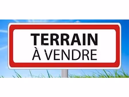 terrrain 5000 m²