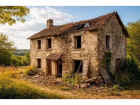 maison à vendre avec travaux ? immeuble vide ? je rachète rapidement