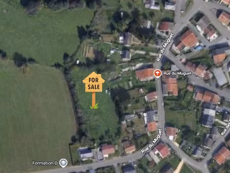 vente terrain à batir 5000 m² à gernelle (08440)  210 000 €