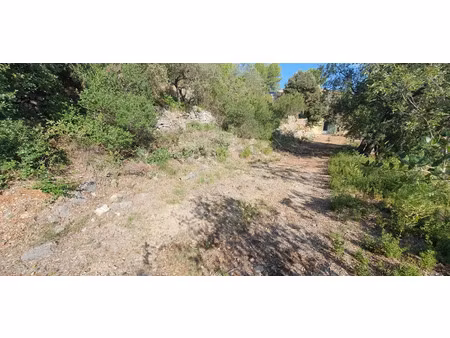 vente terrain 970 m² à le luc (83340)  157 000 €