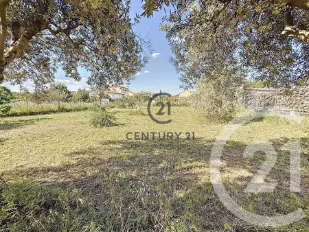 vente terrain à batir 467 m² à pia (66380)  133 000 €