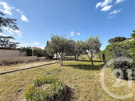 vente terrain à batir 501 m² à pia (66380)  143 000 €