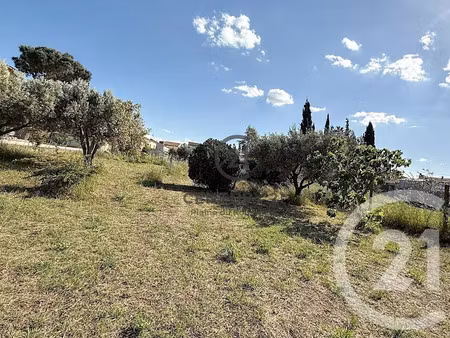 vente terrain à batir 656 m² à pia (66380)  143 000 €