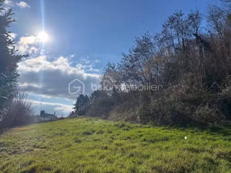 vente terrain 1368 m² à saint-antoine-du-rocher (37360)  81 120 €