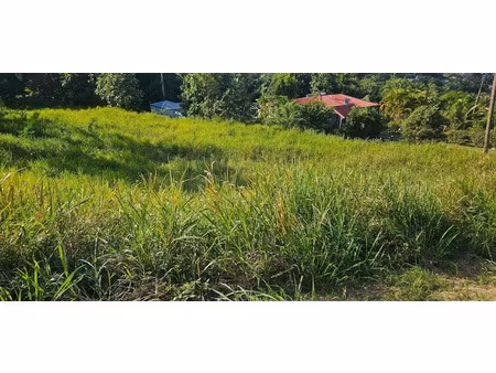 vente terrain à batir 800 m² à petit bourg (97170)  170 000 €