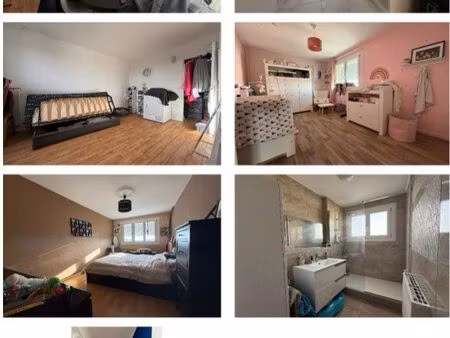 appartement 3 chambre