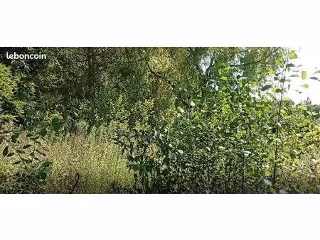 terrain 2000 m2 à louer 76450