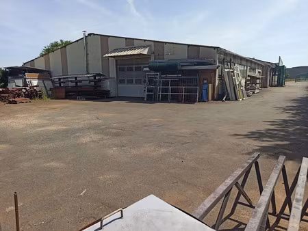 vente locaux professionnels 1400 m² à aixe-sur-vienne (87700)  345 660 €