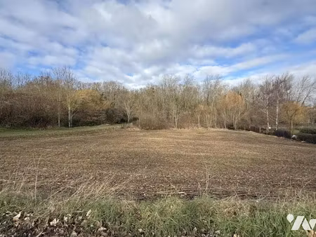 vente terrain à batir 1038 m² à rosnay (51390)  155 000 €