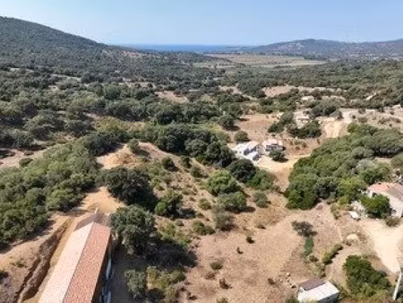 vente terrain à batir 2900 m² à sollacaro (20140)  180 000 €