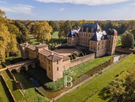 vente château 30 pièces 1200 m² à fareins (01480)  nan €