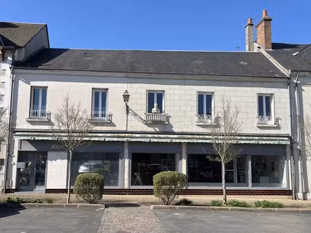 vente immeuble 0 pièces à valençay (36600)  213 000 €