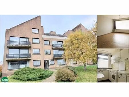 rez-de-chaussée à louer à gistelse steenweg 416 sint-andries (rbv36700)
