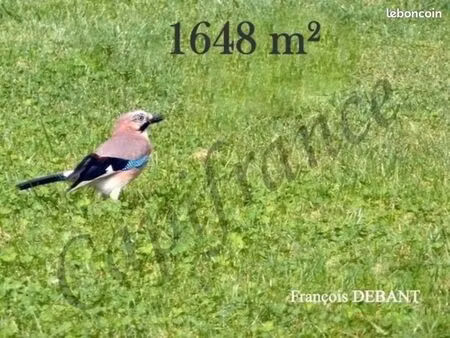 terrain 1 648 m² juniville