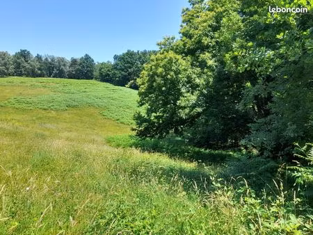 terrain constructible