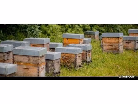 achat terrain pour implantation rucher