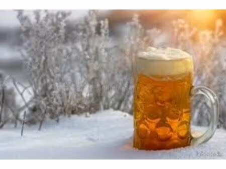 fdc pizzeria bar à bière restaurant cœur station