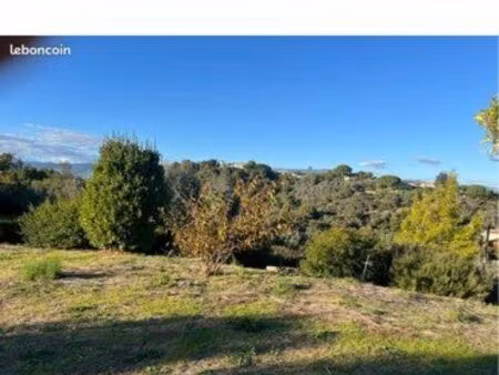 terrain constructible