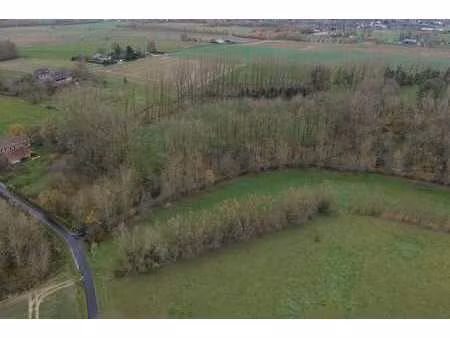 grands terrains agricoles de 4 5 hectare