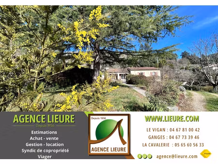 en cévennes  villa avec terrain  à vendre