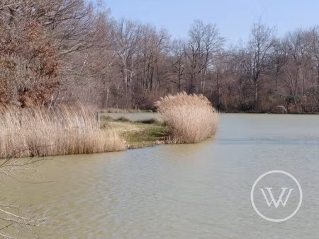 vente etang de 2 hectares