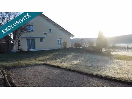 - espace  lumière et nature  rare sur le secteur