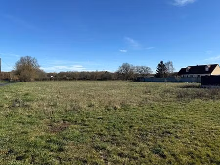 terrain libre de constructeur