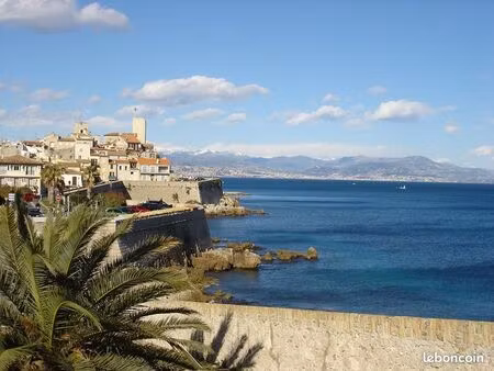 boutique 17 m² antibes