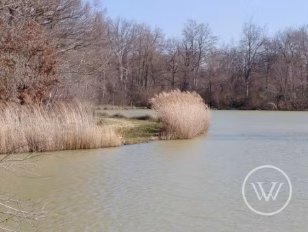vente terrain 22200 m² bossieu (38260)