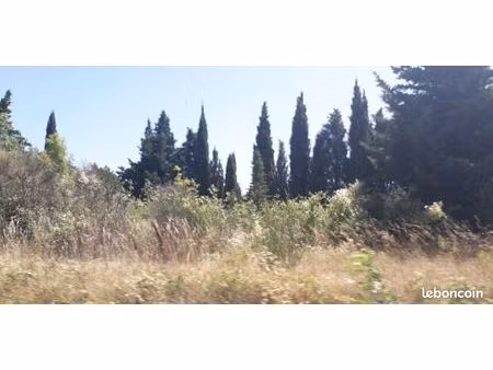 recherche terrain constructible