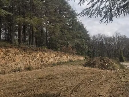 terrain constructible zone artisanale