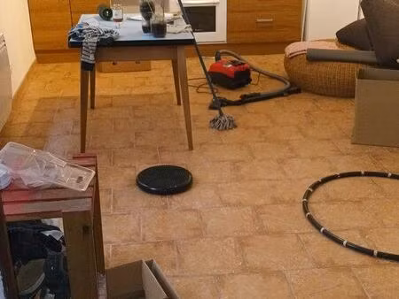 appartement t3 coeur de village