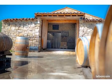 domaine viticole aude