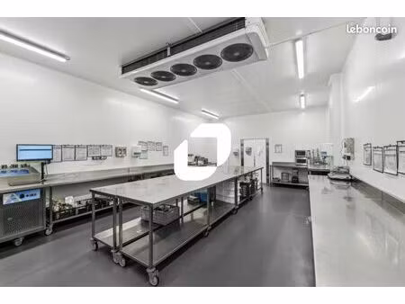 local d'activité 527 m²