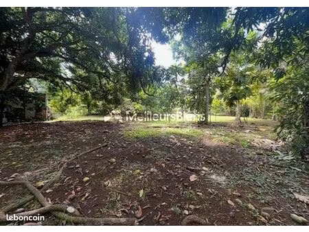 terrain 1 200 m² baie mahault