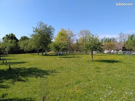 beau terrain arboré