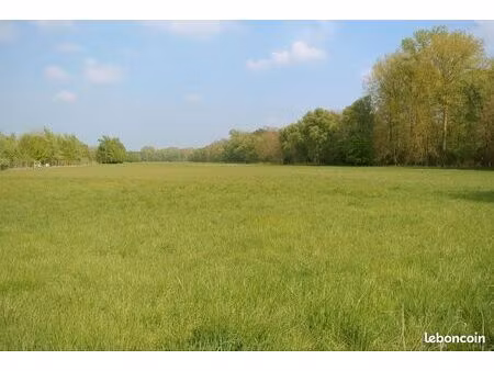terres agricoles 5 85 ha avec ruisseau - st palais / chevanceaux