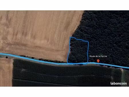 terrain / bois non constructible 1900 m2