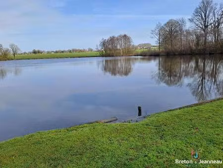 vente terrain à juvigné (53380) : à vendre / 60000m² juvigné