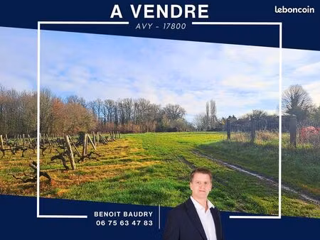 terrain 1441 m² avy