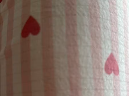 recherche maison à louer