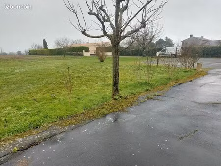 terrain viabilisé 974 m2