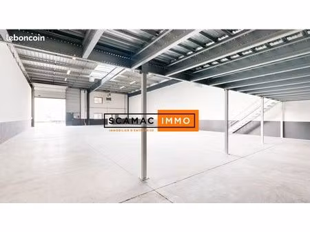 local d'activité 777 m²