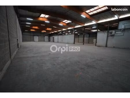 local d'activité 1 000 m²