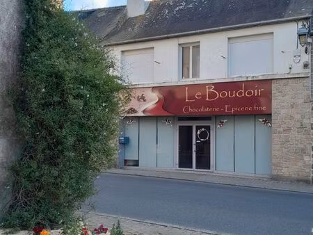 bel ensemble immobilier commerce et habitation