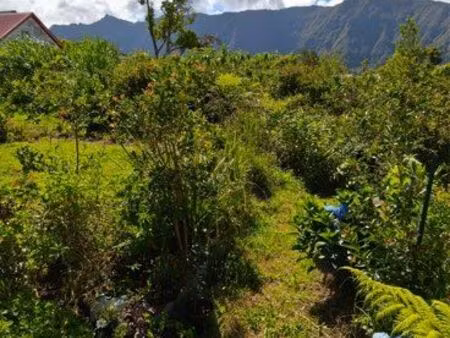 maison 4 pièces 65m2 / terrain 689m2 plaine des palmistes