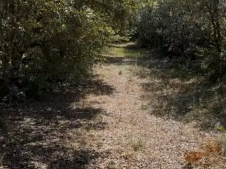 terrain 1 143 m² montsegur sur lauzon