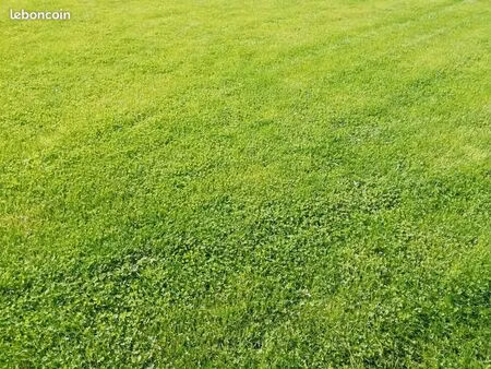 terrain 743 m² erquy