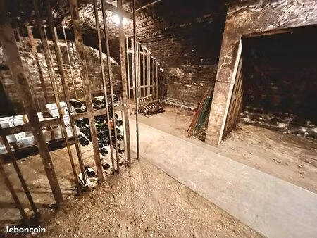 cave à louer 160m2 beaune centre ville