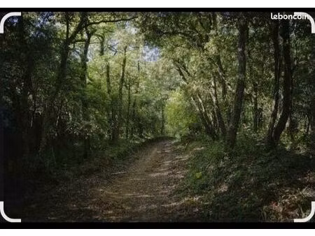 recherche forêt ou gîte de bois aux alentours de nontron